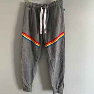 Andrew Christian Caifornia Collection Gray Men’s Joggers with Colorful Stripes
